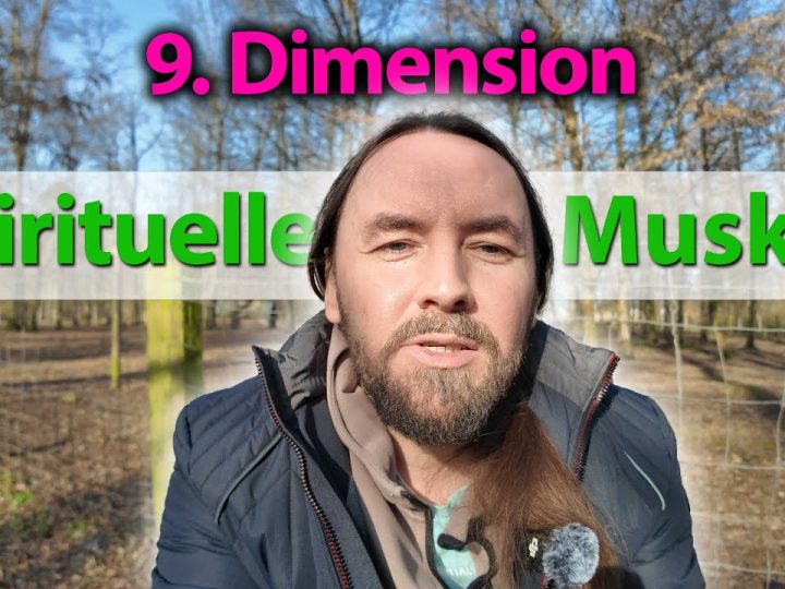 Aufstieg in die 10. Dimension und energetische Angriffe
